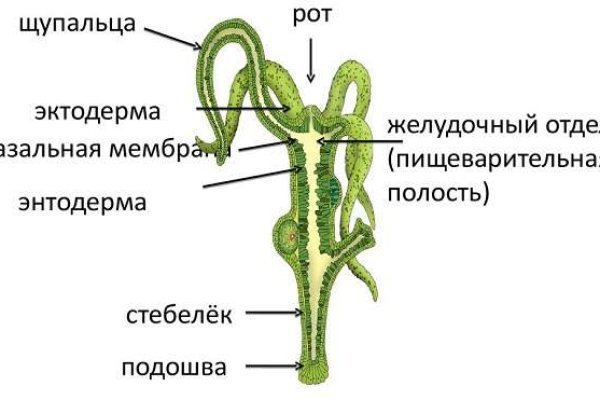 Как загрузить фото на мегу через андроид